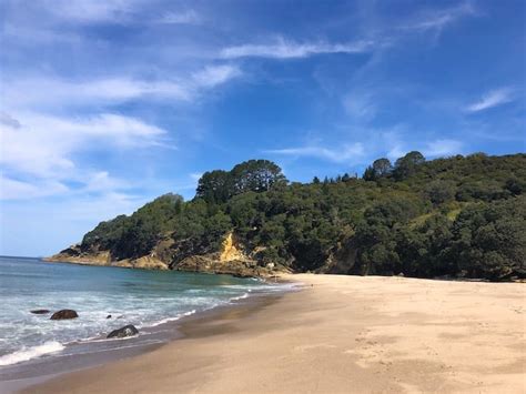 17 of the Best Coromandel Beaches - Ultimate Summer Guide