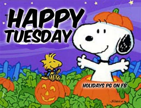 Pin di Debbie zPatterson su Snoopy quotes
