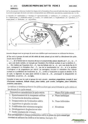 Prepa Bac Svt Niveau Terminale D 2021 2022 Fiche 3