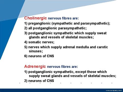 Autonomic Nervous System Cholinergic Agonists Cholinomimetics Ph D