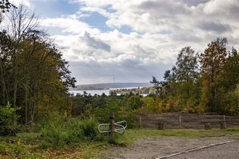 Vom Grunewald zum Wannsee Jüdische Allgemeine