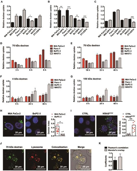 Kras Responsive Cell Entry Of 70 Kda Dextran A B And C Comparison