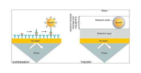 Enhancing Sensitivity Of Surface Plasmon Resonance Biosensors By Functionalized Gold