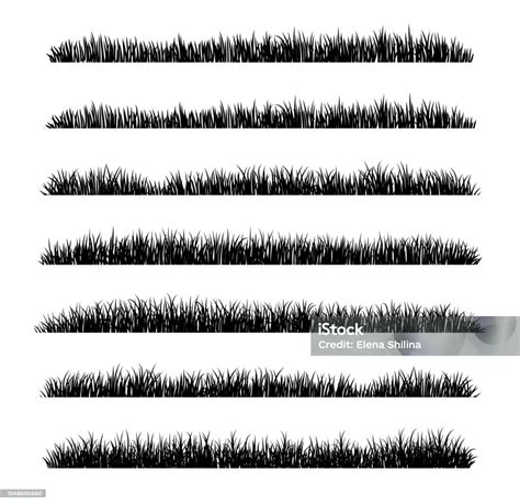 Set Of Black Grass Silhouette Stock Illustration Download Image Now Agricultural Field