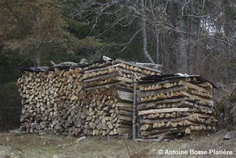 Bien faire sécher son bois de chauffage Terre Vivante