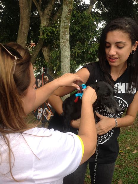 FOTOS Caminhada do Amicão atrai milhares de pessoas em Resende RJ