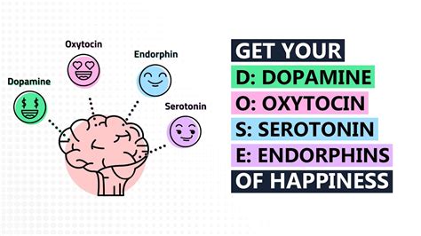 Serotonin And Dopamine Happiness