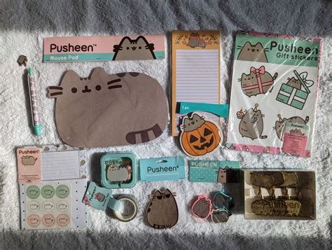 Pusheen Box Exclusive Stationery Set (11 items), Hobbies & Toys ...