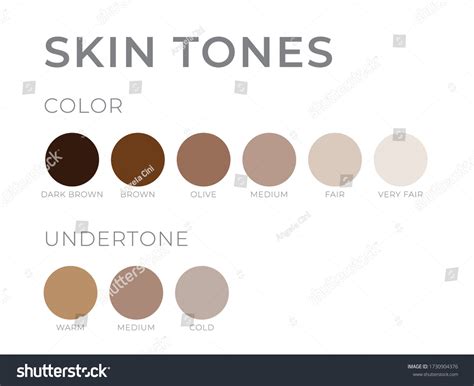 Skin Tones Undertone Warm Cold Neutral Stock Vector Royalty Free