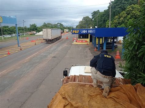 PRF apreende 61 metros cúbicos de madeira nativa no norte do Tocantins