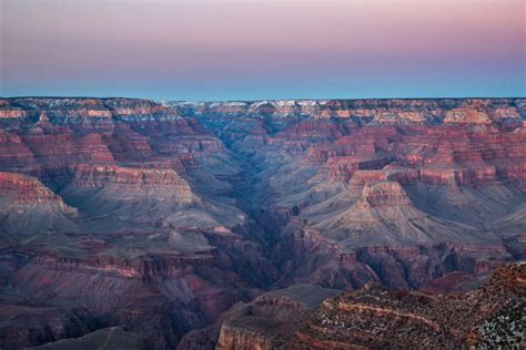 Are Dogs Allowed In Grand Canyon National Park