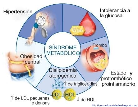 Sindrome Metabolico Mapa Conceptual Esquemas Y Mapas Conceptuales De