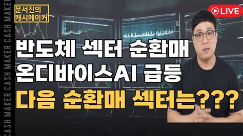 온디바이스ai 관련주 급등반도체 섹터 내 순환매 어떻게 대응해야 하나 Youtube