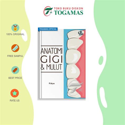 Jual Buku Anatomi Gigi Mulut Fidya UB PRESS Shopee Indonesia