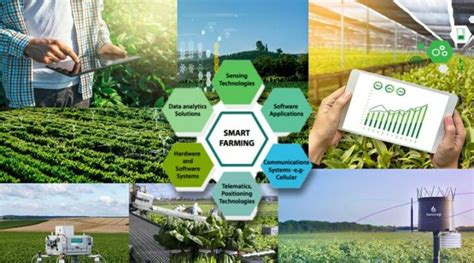 Giải Pháp Nông Nghiệp Thông Minh QSmart