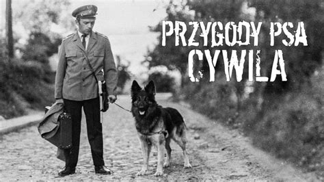 Przygody psa Cywila serial telewizyjny Oglądaj na VOD TVP