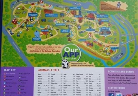 Visit Smithsonian Zoo in Washington D.C. with your family! | Macaroni ...