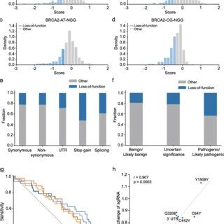 Functional Screens Of Variants In Brca Using Base Editors