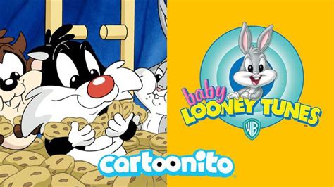 Photo Day Baby Looney Tunes Videos Cartoonito