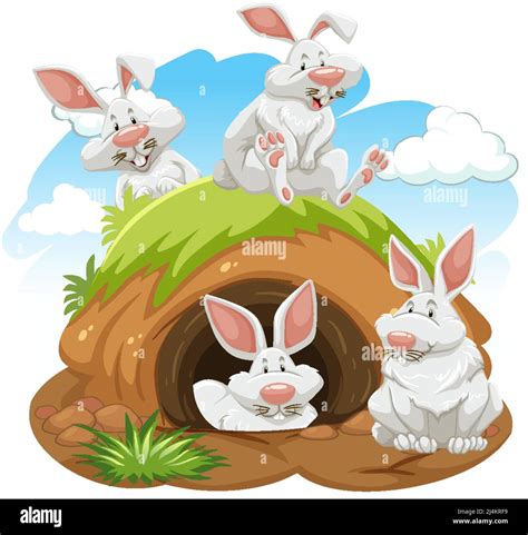 Wild Rabbit Burrow Tree Hi Res Stock Photography And Images Alamy