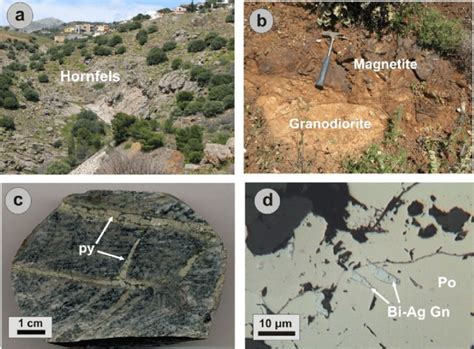 Photographs demonstrating rock types and skarn-type mineralization at ...