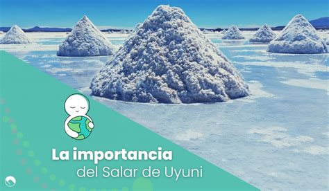 La Importancia Del Salar De Uyuni Para Bolivia Howlanders