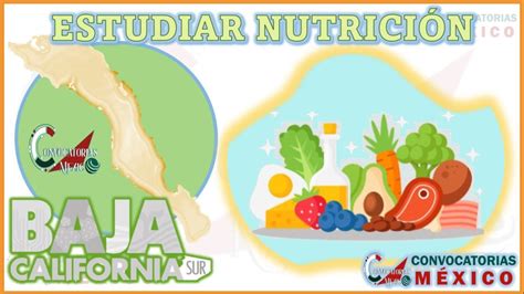 D Nde Estudiar Nutrici N En Baja California Sur Enero