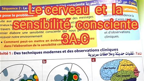 Univers plus SVT 3AC Le cerveau et la sensibilité consciente YouTube