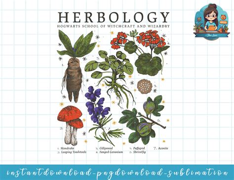 Harry Potter Herbology Plants png, sublimate, digital downlo - Inspire Uplift