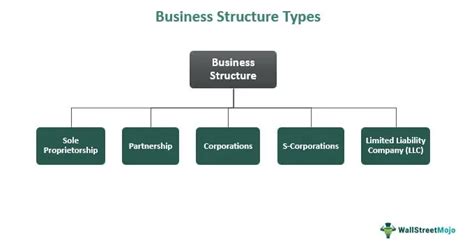 Business Structure Meaning Explained Types Examples