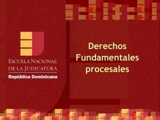 Enj Derechos Fundamentales Procesales Ppt