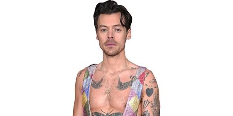 Harry Styles Colourful Half Body Buddy Celebrity Cutouts