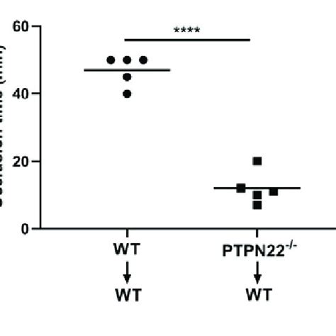 Figure S5 Arterial Thrombus Formation In Platelet Download