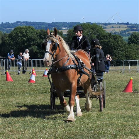 2022 23 Concours départemental du cheval breton ESPRITRAIT