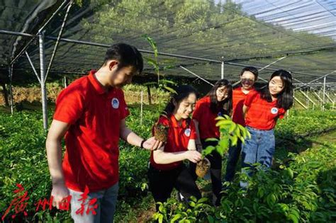 千支广东青年大学生“百千万工程”突击队整装待发