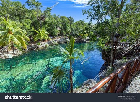 playa  images pictures shutterstock