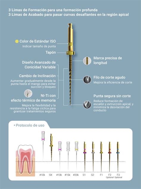 Limas Rotatorias Eighteeth E Flex S Dental Click