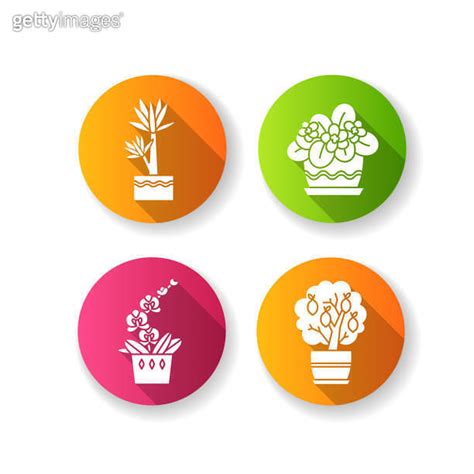 Decorative Indoor Plants Flat Design Long Shadow Glyph Icons Set