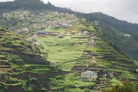 Madeira's vineyards are part of the islands wonderful scenery