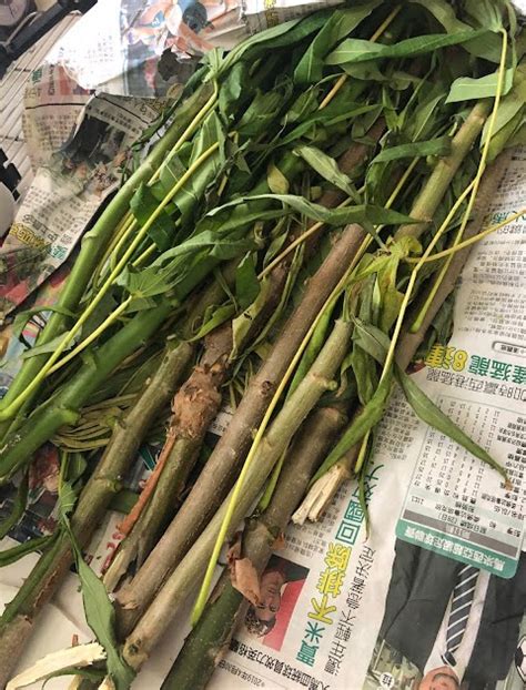 Kegunaan Tepung Ubi Kayu Kegunaan Tepung Ubi Dalam Biskut Resepi