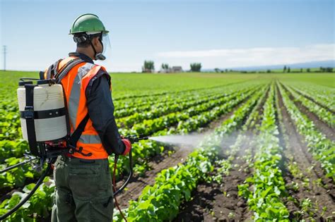 Fumigadora De Motor Conocimientos Claves Para Su Mantenimiento Y Uso