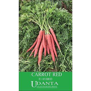 Buy Udanta Carrot Red Organic Vegetable Seeds For Kitchen Garden