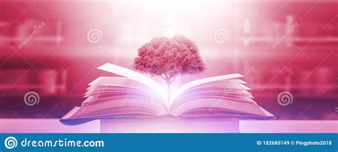 Pilha De Livros Na Biblioteca E Fundo De Livraria Desfocado Imaginem Um