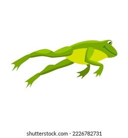 Green Frog Jumping Prey Cartoon Vector Stock Vector Royalty Free