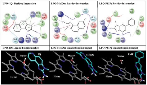 Lactoperoxidase An Antimicrobial Milk Protein As A Potential