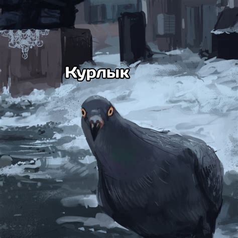 Курлык-курлык | Пикабу