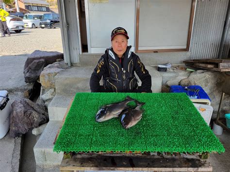 磯釣りでグレ42㎝まで2枚・ゲット！ 一栄丸渡船｜三重県紀北町