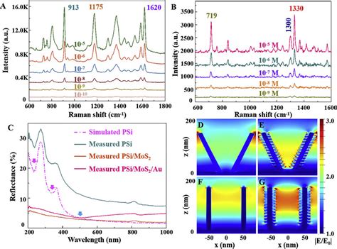 Surface Enhanced Raman Scattering Sers Spectra Of Crystal Violet Cv