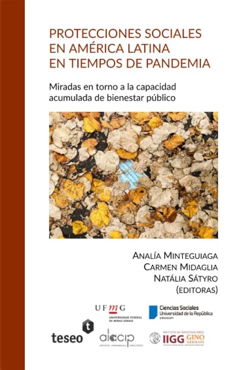 Protecciones sociales en América Latina en tiempos de pandemia Miradas en torno a la capacidad