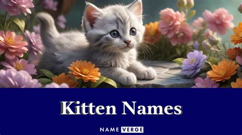 Kitten Names: 711+ Cute Names For Your Kitten Boy & Girl